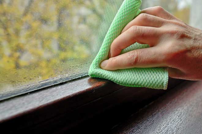 How to prevent mold on windows in winter