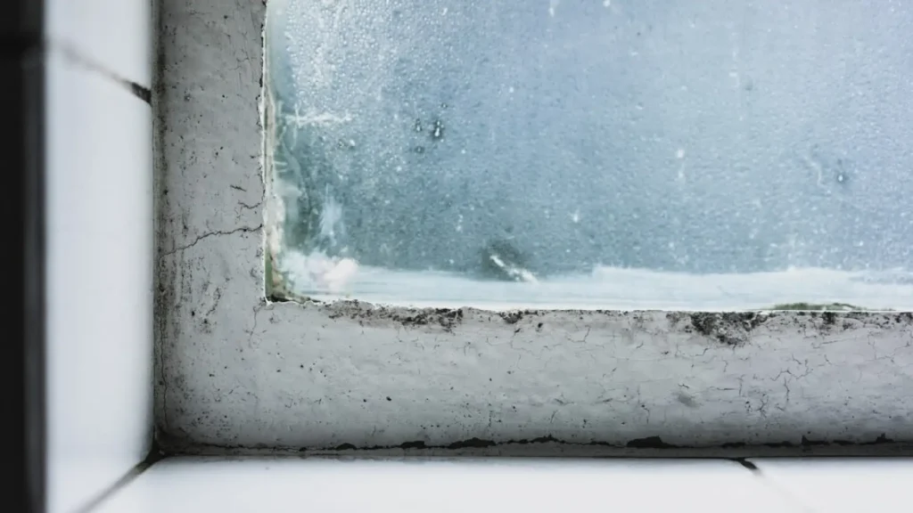 A window with mold